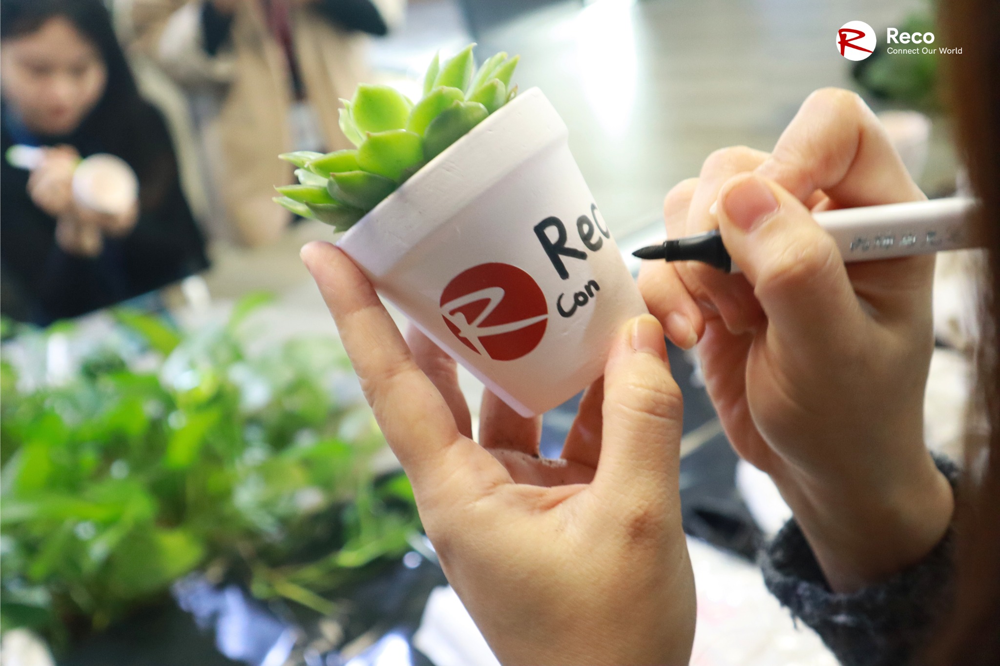 RECO’s 6th Anniversary